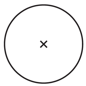 p00010